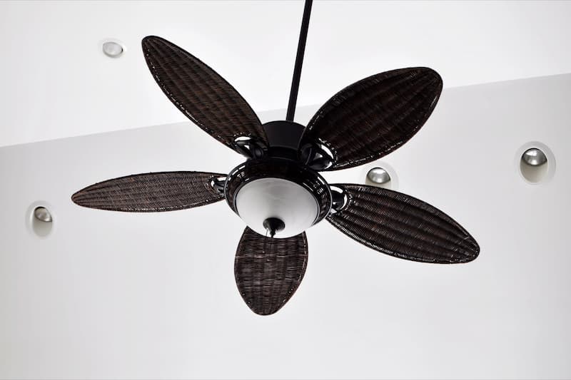 Light Fixtures & Ceiling Fans